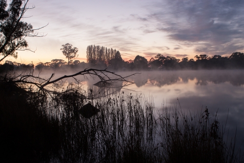 Gosling Creek Reserve